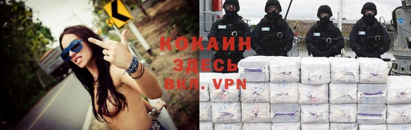 первитин Новодвинск