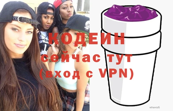 первитин Новодвинск