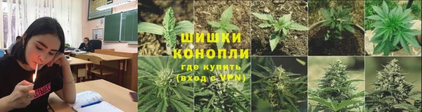 ешки Новокубанск