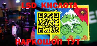 шишки Донской
