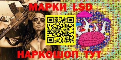 шишки Донской
