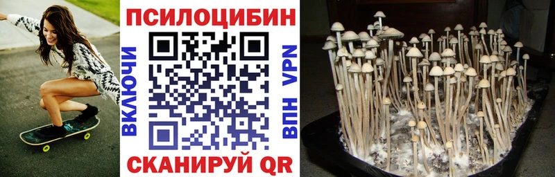 купить   Югорск  Галлюциногенные грибы Magic Shrooms 